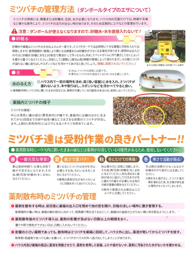 ミツバチ 受粉用 ミツバチボーヤ1000 短期 交配用 女王蜂なし 蜜蜂 1000匹 花粉 交配 授粉 蜂 スイカ メロン ピーマン ナス イチゴ 西岡養蜂園 タS 代引不可