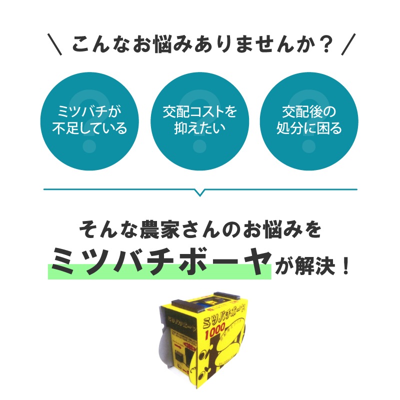 ミツバチ 受粉用 ミツバチボーヤ1000 短期 交配用 女王蜂なし 蜜蜂 1000匹 花粉 交配 授粉 蜂 スイカ メロン ピーマン ナス イチゴ 西岡養蜂園 タS 代引不可