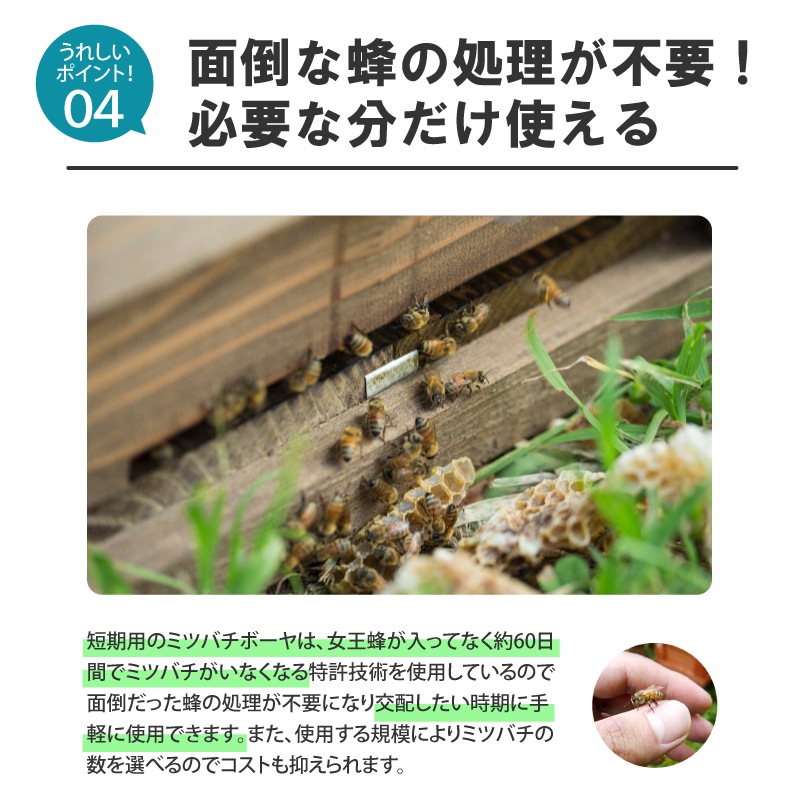 ミツバチ 受粉用 ミツバチボーヤ1000 短期 交配用 女王蜂なし 蜜蜂 1000匹 花粉 交配 授粉 蜂 スイカ メロン ピーマン ナス イチゴ 西岡養蜂園 タS 代引不可