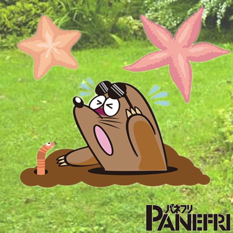 忌避剤 ヒトデでくるな パネフリ 1kg 10坪用 非農耕地用 ヒトデ 粉末 旧名：モグラくるな 土竜 害獣 防獣 シカ ハクビシン イノシシ カラス ハト にも タS DZ