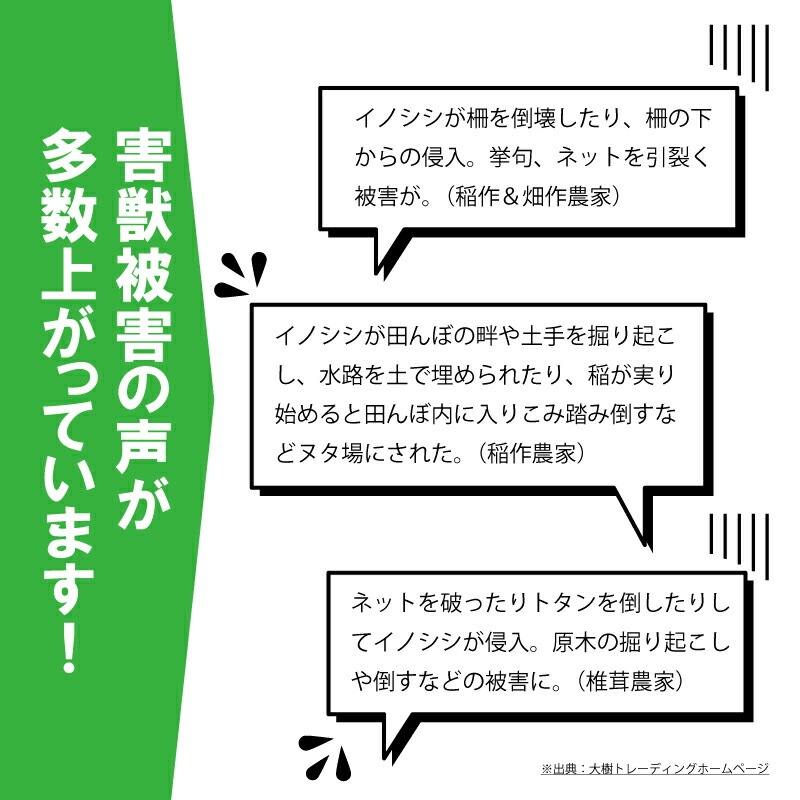 ＼ セットでお得！ ／ イノシシびっくり・支柱 セット DG505 DG951 電池付 イノシシ対策 被害 撃退 イノシシ クマ タヌキ 猪よけ 猪 大樹トレーディング 新E DZ