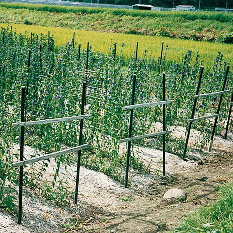 プラスワイズ本店｜農業用支柱 イボ竹 打込用 26×1.2 JK 積水樹脂 25本