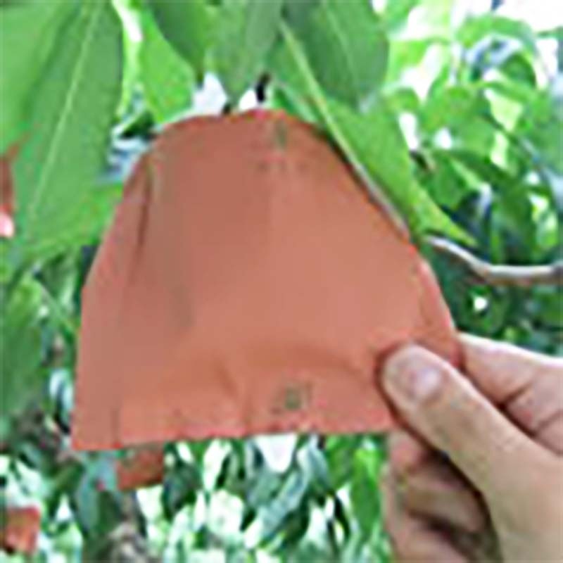 プラスワイズ本店｜2500枚 果実袋 桃 もも二重袋 P2P 130×165mm モモ