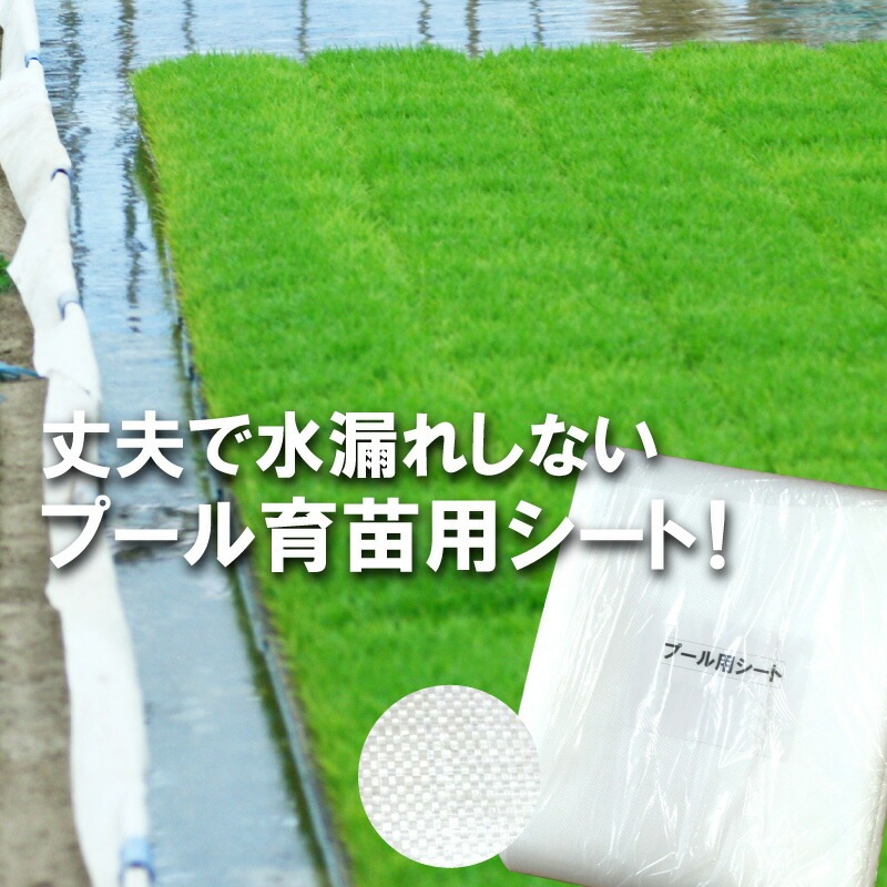 丈夫で水漏れしにくい プール育苗シート 遮水シート 厚さ0.25mm×幅270cm×長さ30m プール育苗 プールシート 幅2.7m 厚手 遮水 プール育苗用 シート 水稲 苗 コMDZ