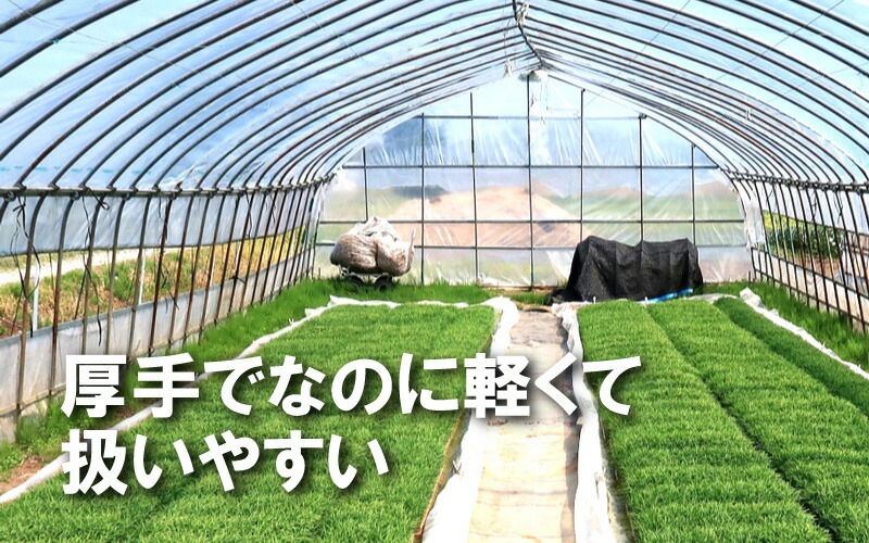 丈夫で水漏れしにくい プール育苗シート 遮水シート 厚さ0.25mm×幅270cm×長さ30m プール育苗 プールシート 幅2.7m 厚手 遮水 プール育苗用 シート 水稲 苗 コMDZ