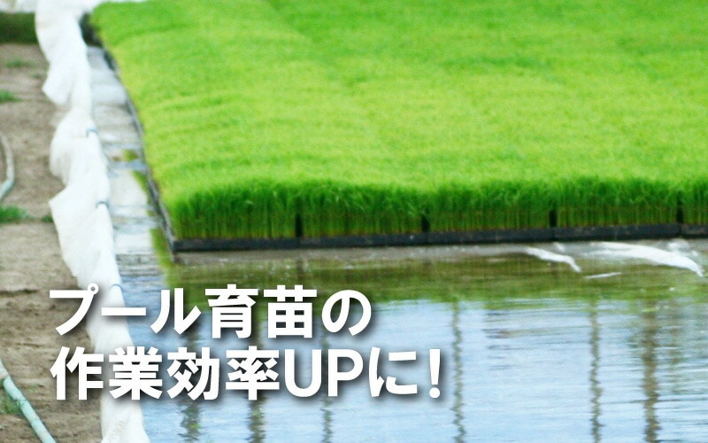 丈夫で水漏れしにくい プール育苗シート 遮水シート 厚さ0.25mm×幅270cm×長さ30m プール育苗 プールシート 幅2.7m 厚手 遮水 プール育苗用 シート 水稲 苗 コMDZ
