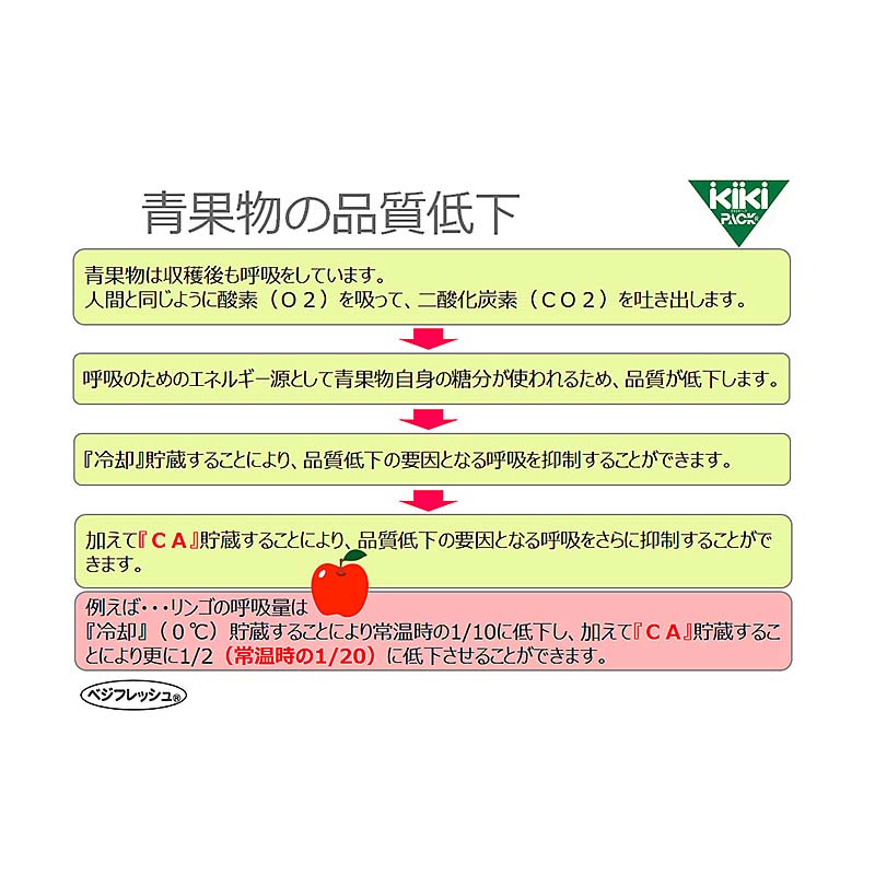 400枚 ベジフレッシュチャック付 L5枚入 340×480mm 80セット 野菜 鮮度 保持袋 ホリックス タS 北海道不可 個人宅配送不可 代引不可