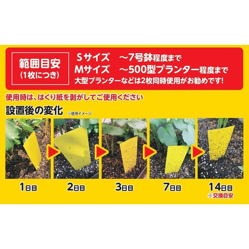 捕虫シート 虫取りトラップラベル 5枚入 Mサイズ 180×70mm 200セット 害虫対策 捕虫 トラップ ラベル型 明和 代引不可