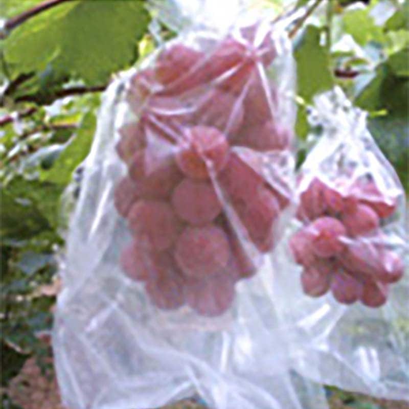 プラスワイズ本店｜3000枚 BIKOO 果実保護袋 一重袋 Lサイズ 250×350mm