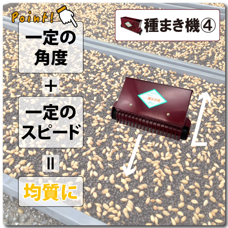 セット みくに式 種まき機 ＆ 覆土専用機 播種機 覆土機 ガードレール付 三国式 水稲 水田 水稲播種機 水稲覆土機 レール式 園芸資材 農業資材 サTZ