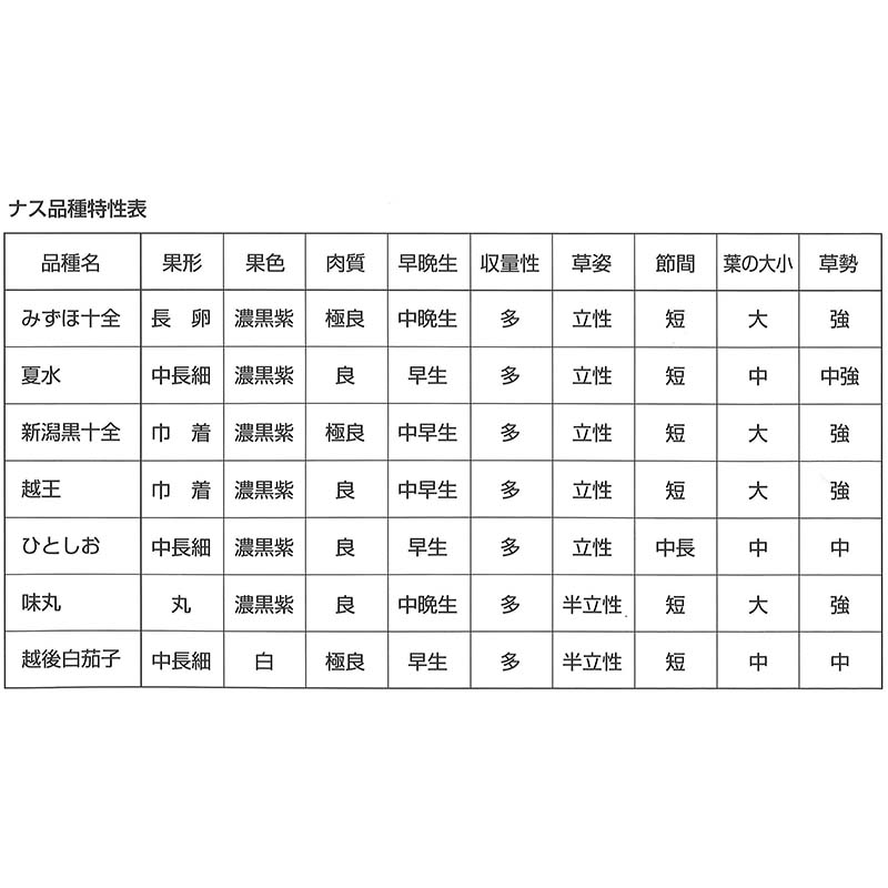 種子 0.8ml ナス ひとしお 北越交配 栽培用 野菜タネ 野菜種子 野菜のタネ なす 茄子 北越農事 D