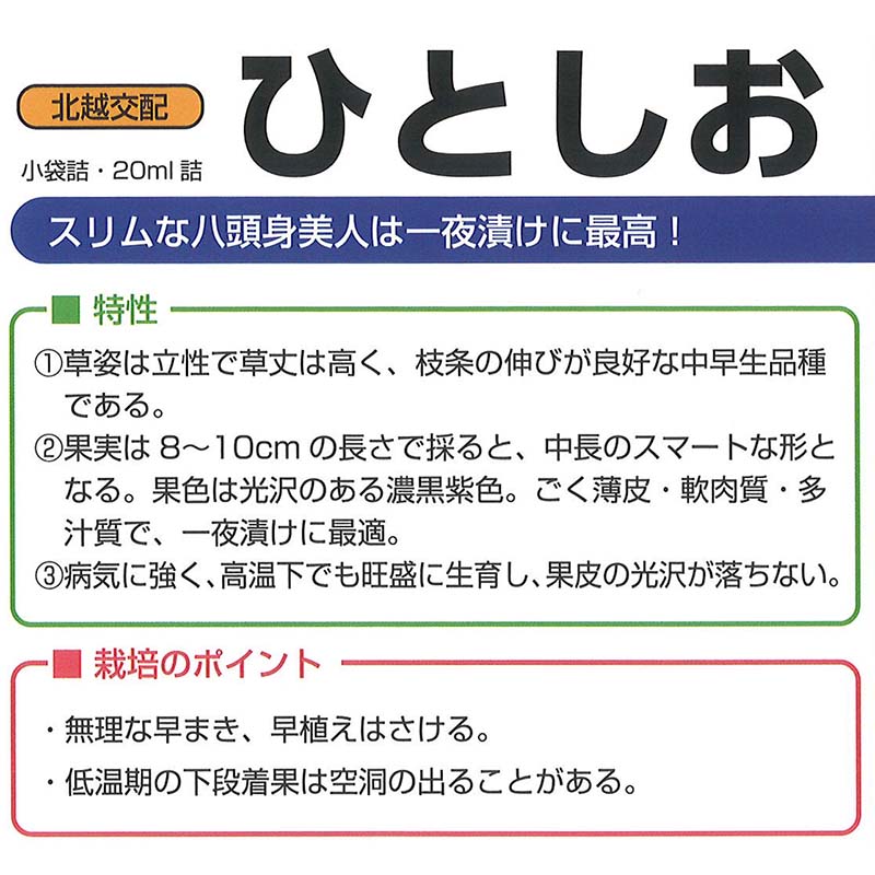 種子 20ml ナス ひとしお 北越交配 栽培用 野菜タネ 野菜種子 野菜のタネ なす 茄子 北越農事 D