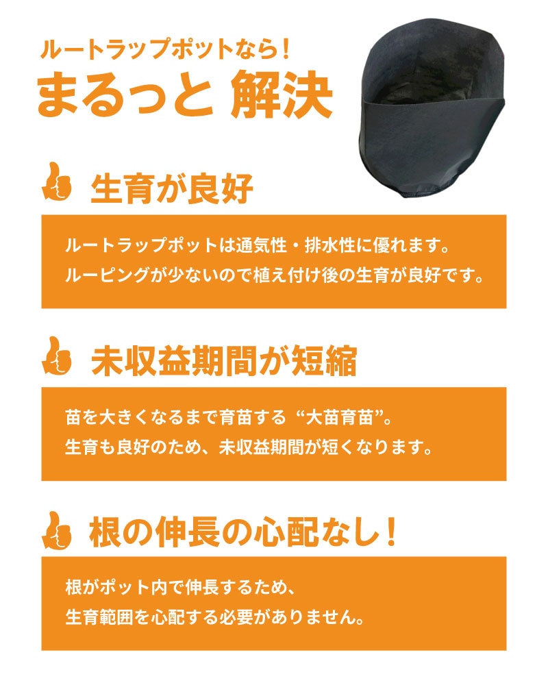 10枚 ルートラップ ポット 30A 直径 57cm × 高さ 40cm 容量 100L 不織布 ポット ルートラップポット 根域制限 防根 遮根 透水 果樹栽培 ハセガワ工業 代引不可