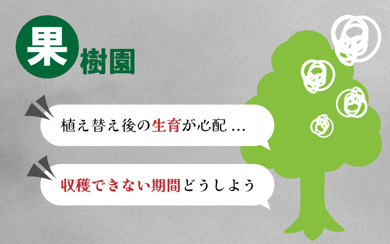 10枚 ルートラップ ポット 30A 直径 57cm × 高さ 40cm 容量 100L 不織布 ポット ルートラップポット 根域制限 防根 遮根 透水 果樹栽培 ハセガワ工業 代引不可