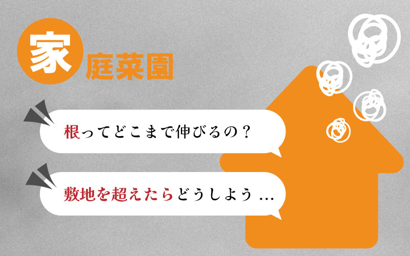 10枚 ルートラップ ポット 30A 直径 57cm × 高さ 40cm 容量 100L 不織布 ポット ルートラップポット 根域制限 防根 遮根 透水 果樹栽培 ハセガワ工業 代引不可