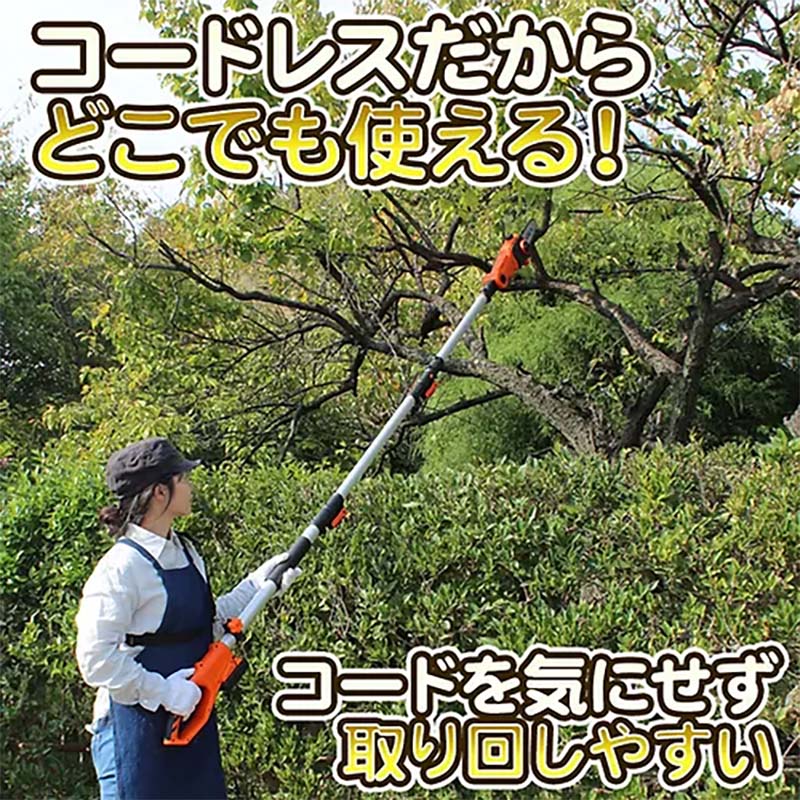 チェーンソー コードレス24V高枝チェーンソー LSC17-JP 剪定 チェンソー ガーデニング 園芸 YARD FORCE ヤードフォース 福KD