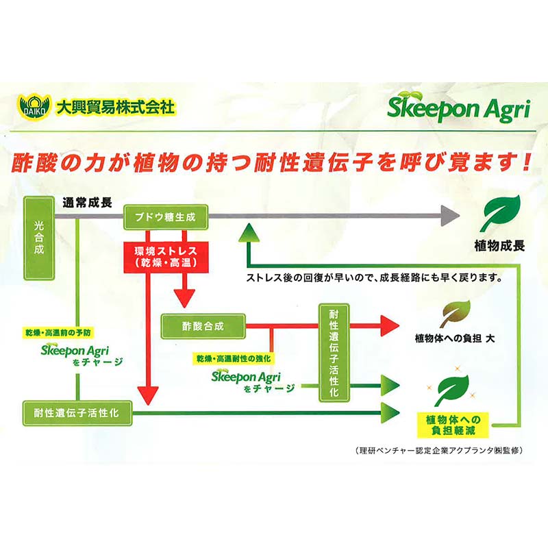 スキーポン・アグリ Skeepon Agri 500ml バイオスティミュラント資材 酢酸 野菜 農園 農業 園芸 高温 乾燥 ダメージ 軽減 スキーポンアグリ 大興貿易 DZ