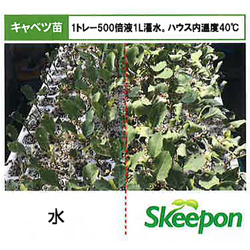スキーポン・アグリ Skeepon Agri 500ml バイオスティミュラント資材 酢酸 野菜 農園 農業 園芸 高温 乾燥 ダメージ 軽減 スキーポンアグリ 大興貿易 DZ