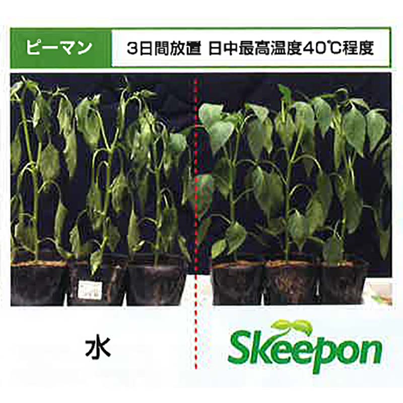 スキーポン・アグリ Skeepon Agri 500ml バイオスティミュラント資材 酢酸 野菜 農園 農業 園芸 高温 乾燥 ダメージ 軽減 スキーポンアグリ 大興貿易 DZ