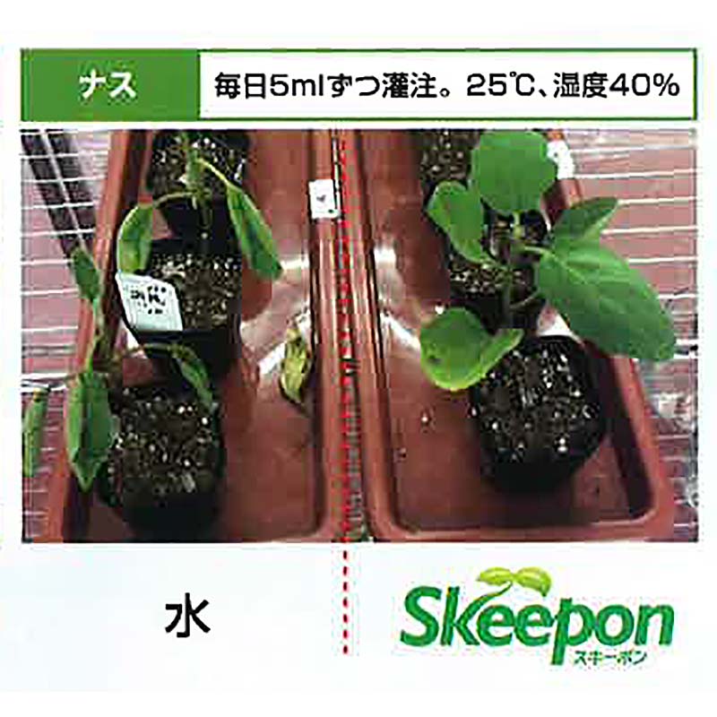 スキーポン・アグリ Skeepon Agri 500ml バイオスティミュラント資材 酢酸 野菜 農園 農業 園芸 高温 乾燥 ダメージ 軽減 スキーポンアグリ 大興貿易 DZ