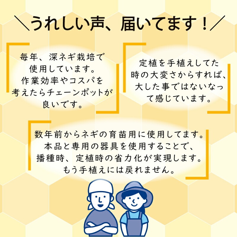75冊入 2箱 チェーンポット LP303-10 264鉢 紙筒 ニッテン 日甜 ロングピッチチェーンポット 播種 種まき 育苗 青ネギ キク 菊 花き類 タS DZ