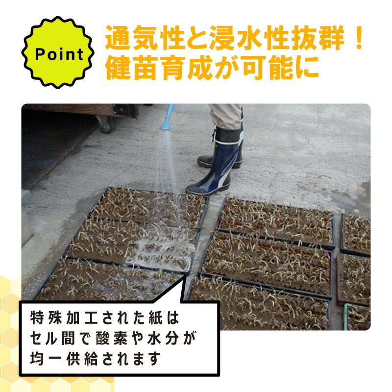 75冊入 2箱 チェーンポット LP303-10 264鉢 紙筒 ニッテン 日甜 ロングピッチチェーンポット 播種 種まき 育苗 青ネギ キク 菊 花き類 タS DZ