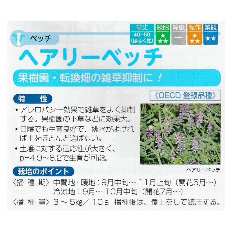 種 1kg ベッチ ヘアリーベッチ ナモイ 緑肥作物 その他 酪農 畜産 緑肥 牧草 タキイ種苗 米S 代引不可