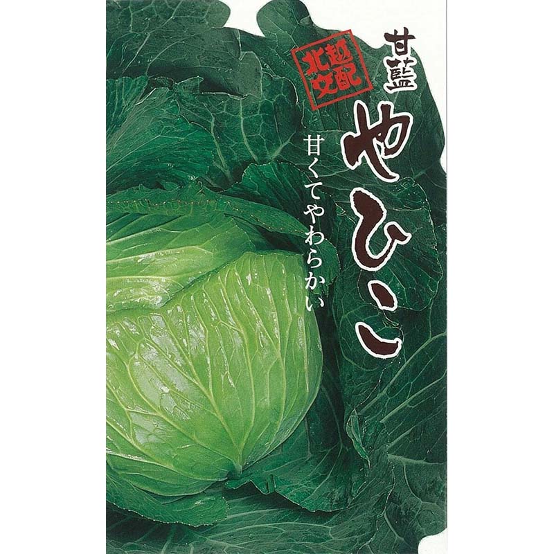 種子 1.2ml キャベツ やひこ 北越交配 栽培用 野菜タネ 野菜種子 野菜のタネ 甘藍 北越農事 D