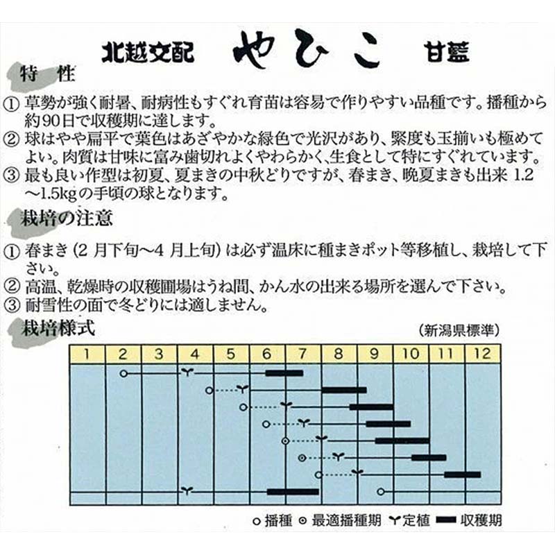 種子 1.2ml キャベツ やひこ 北越交配 栽培用 野菜タネ 野菜種子 野菜のタネ 甘藍 北越農事 D