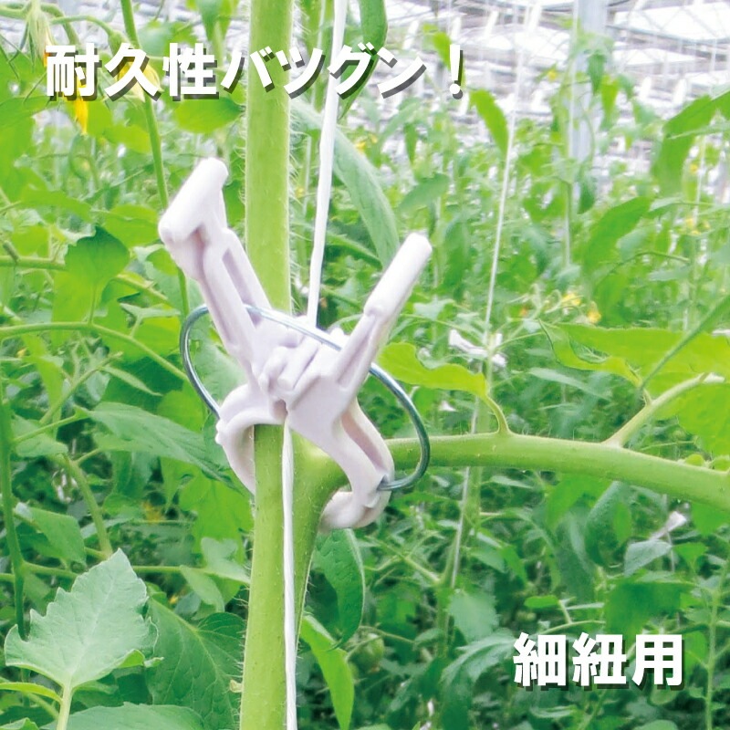 200個 くきたっちアルファ パープル 細紐用 紐誘引クリップ 誘引クリップ 誘引資材 誘引器具 誘引 紐 ひも 横紐 縦紐 対応 クリップ トマト 栽培 シーム タS DZ