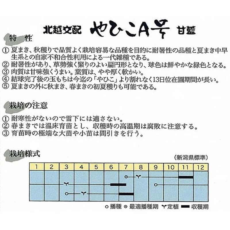 種子 1.2ml キャベツ やひこA号 北越交配 栽培用 野菜タネ 野菜種子 野菜のタネ 甘藍 北越農事 D