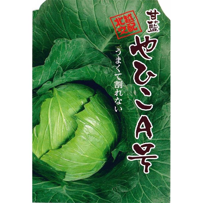 種子 20ml キャベツ やひこA号 北越交配 栽培用 野菜タネ 野菜種子 野菜のタネ 甘藍 北越農事 D