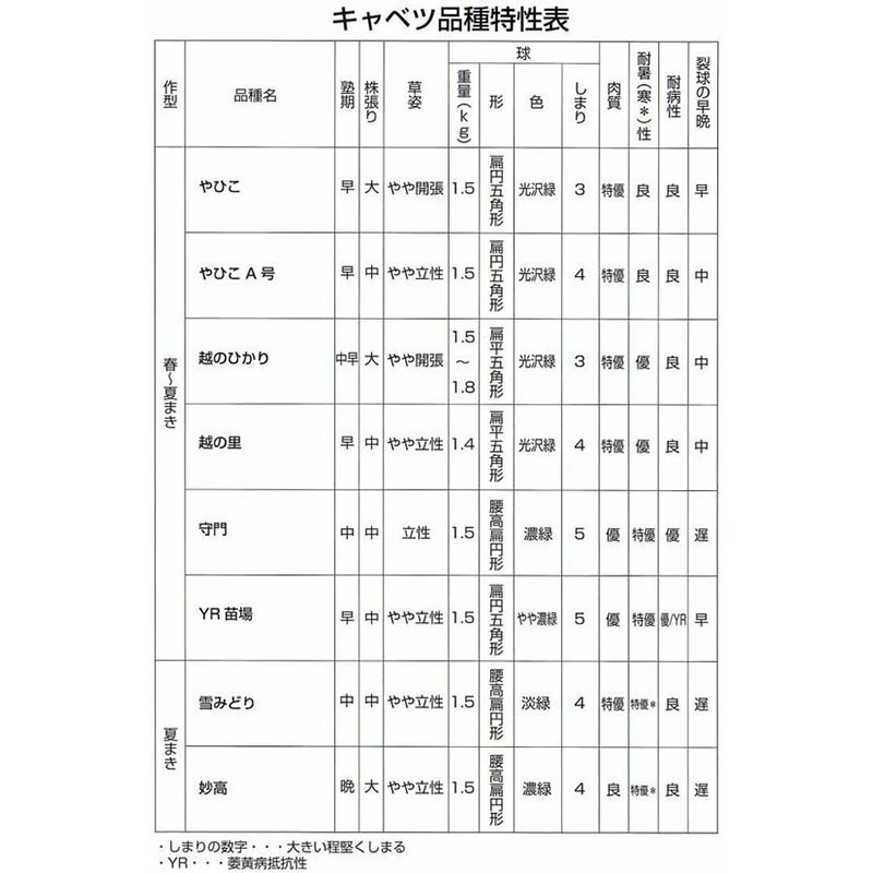 種子 20ml キャベツ やひこA号 北越交配 栽培用 野菜タネ 野菜種子 野菜のタネ 甘藍 北越農事 D