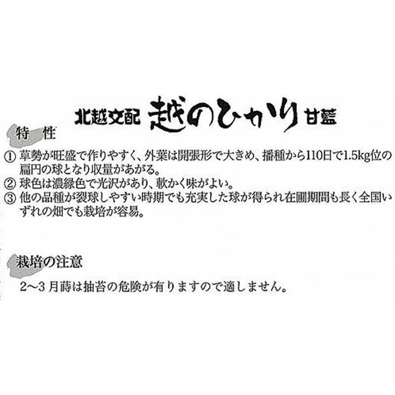 種子 20ml キャベツ 越のひかり 北越交配 栽培用 野菜タネ 野菜種子 野菜のタネ 甘藍 北越農事 D