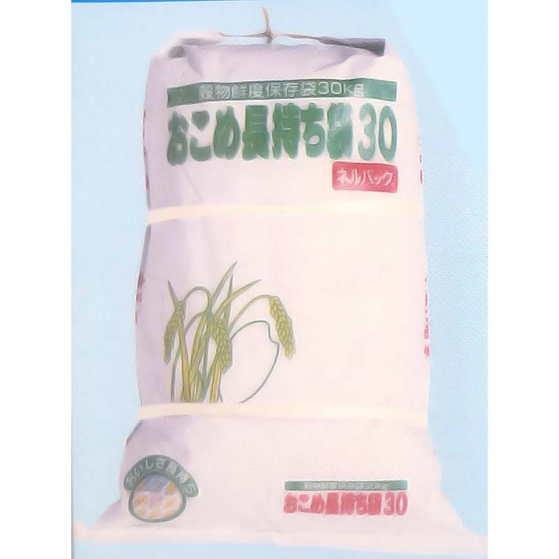 ネルパック おこめ長持ち袋 30kg お米 米 コメ 保存 保管 長持ち 鮮度 酸化 常温 保管方法 防虫 保存方法 穀物用 乾燥 臭い におい おすすめ 一色本店 中GH