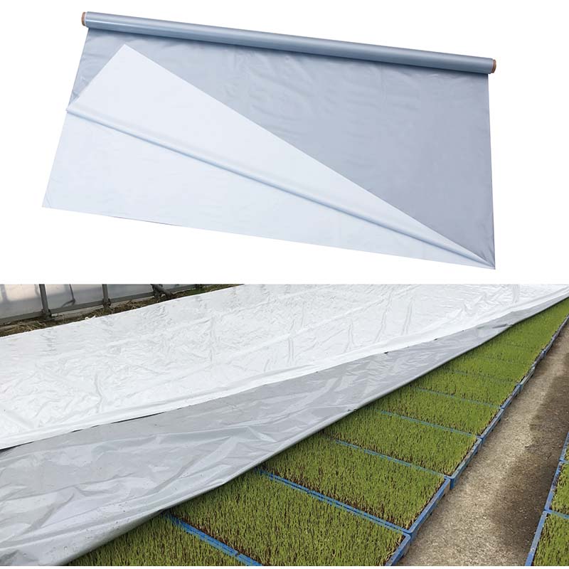 ハイホワイトシルバー 2.7×50m 育苗用シート 水稲用 苗焼け防止 高反射 保温 地温抑制 夜間 保水性 ハウス育苗 プール育苗 被覆資材 270 岩谷マテリアル タS DZ
