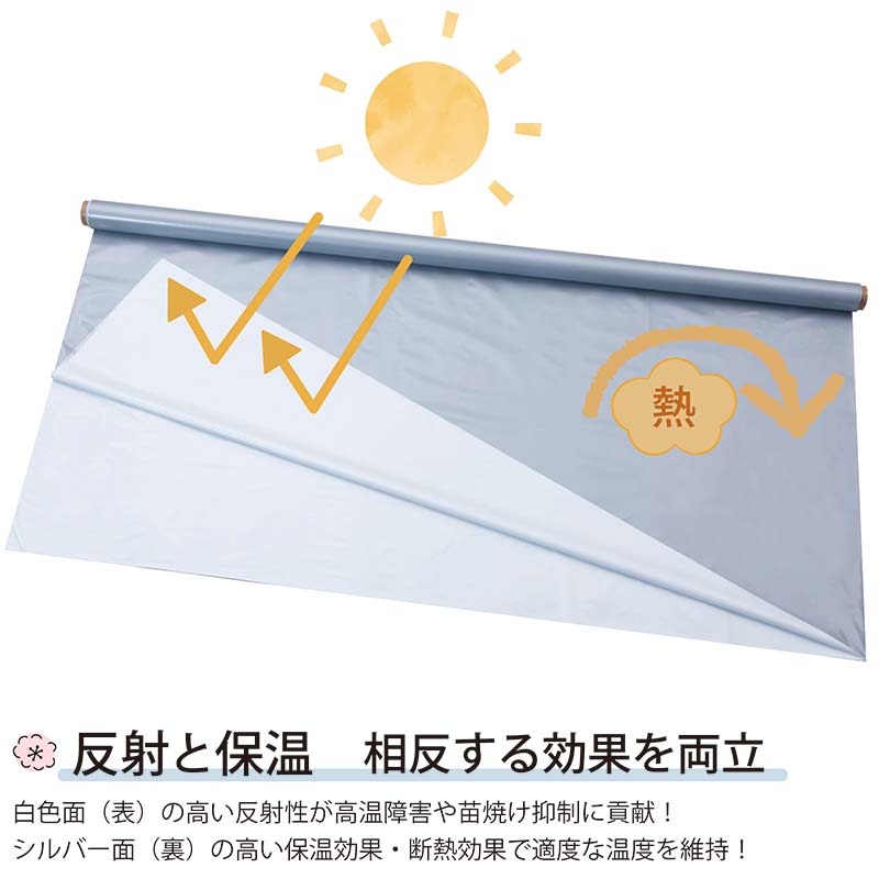 ハイホワイトシルバー 2.7×50m 育苗用シート 水稲用 苗焼け防止 高反射 保温 地温抑制 夜間 保水性 ハウス育苗 プール育苗 被覆資材 270 岩谷マテリアル タS DZ