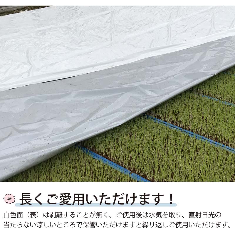 ハイホワイトシルバー 2.7×50m 育苗用シート 水稲用 苗焼け防止 高反射 保温 地温抑制 夜間 保水性 ハウス育苗 プール育苗 被覆資材 270 岩谷マテリアル タS DZ