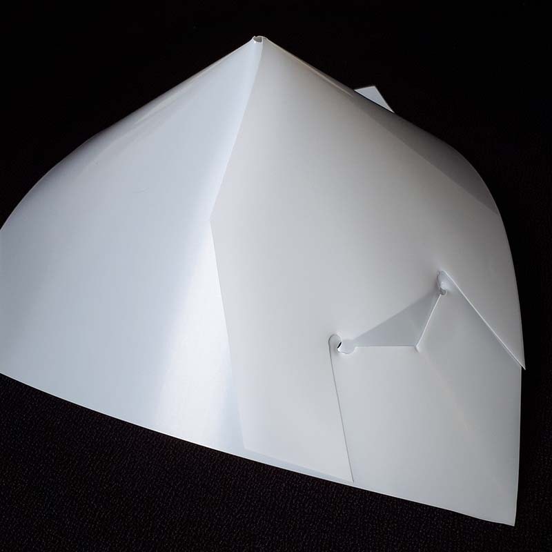 100枚 果実袋 ぶどう さし込みぶどう傘 乳白色 0.125×220×220mm ぶどう専用 ポリ傘 ワンタッチ サシコミ ブドウ 葡萄 柴 さしこみぶどう傘 ぶどう傘 タS DZ