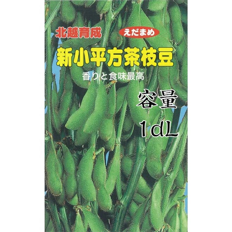 種子 1dl 枝豆 新小平方茶豆 北越育成 栽培用 野菜タネ 野菜種子 野菜のタネ エダマメ 北越農事 D