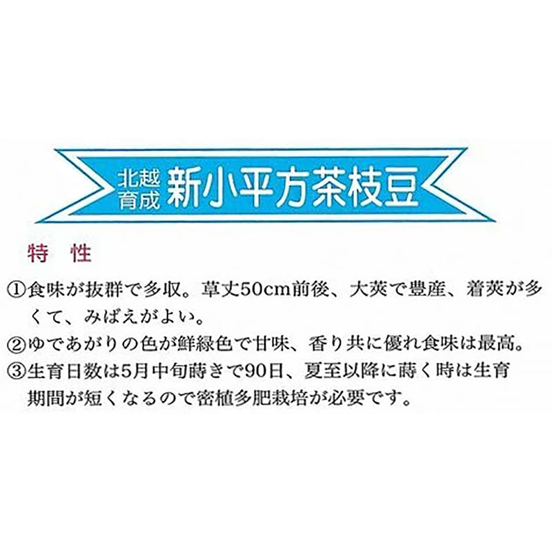 種子 1dl 枝豆 新小平方茶豆 北越育成 栽培用 野菜タネ 野菜種子 野菜のタネ エダマメ 北越農事 D