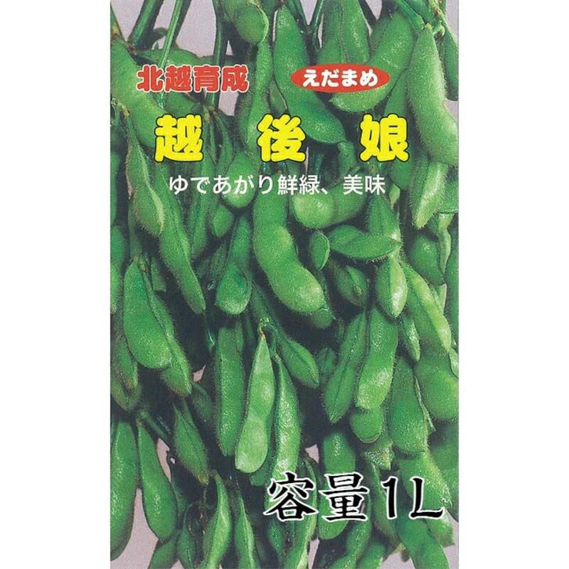 種子 1dl 枝豆 越後娘 北越育成 栽培用 野菜タネ 野菜種子 野菜のタネ エダマメ 北越農事 D