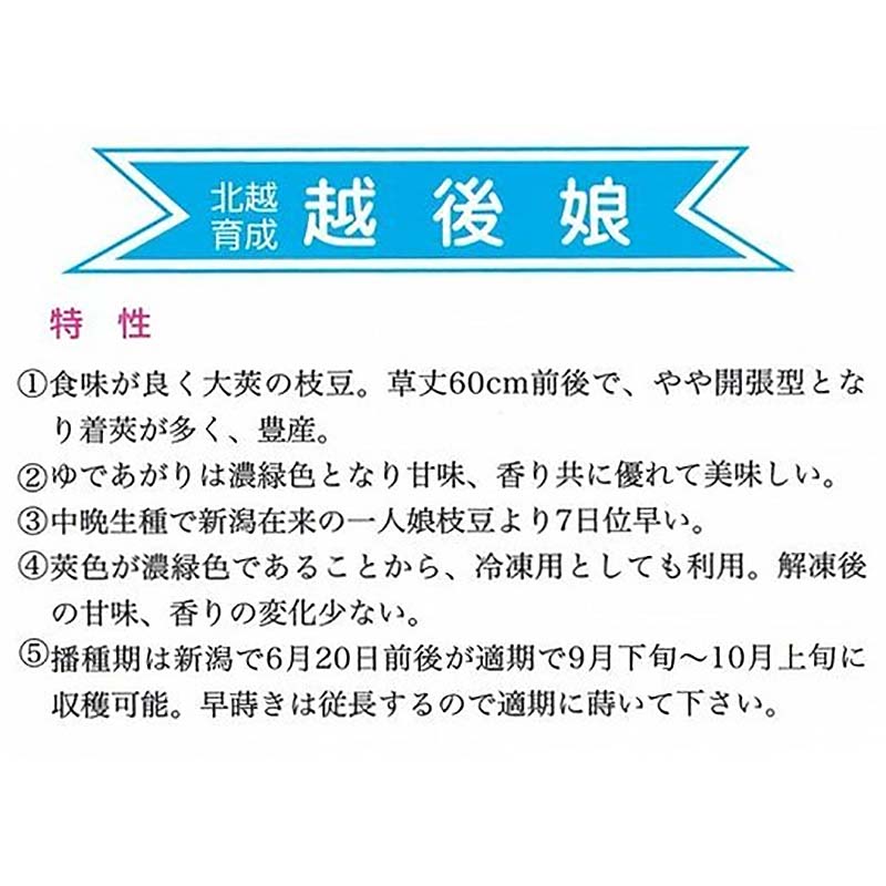 種子 1dl 枝豆 越後娘 北越育成 栽培用 野菜タネ 野菜種子 野菜のタネ エダマメ 北越農事 D