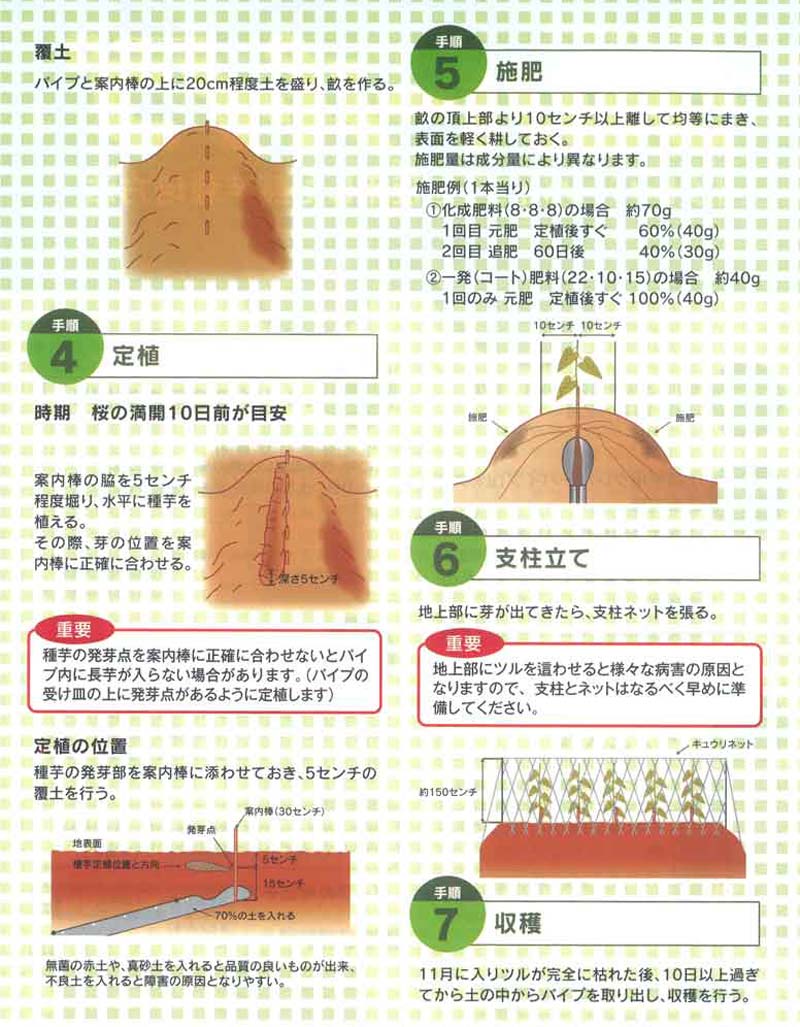 20個 ツメのみ クレバーパイプ用 長芋用 長芋栽培器 長芋 長いも ながいも ナガイモ 栽培 畑 家庭菜園 政田自然農園 タS DZ