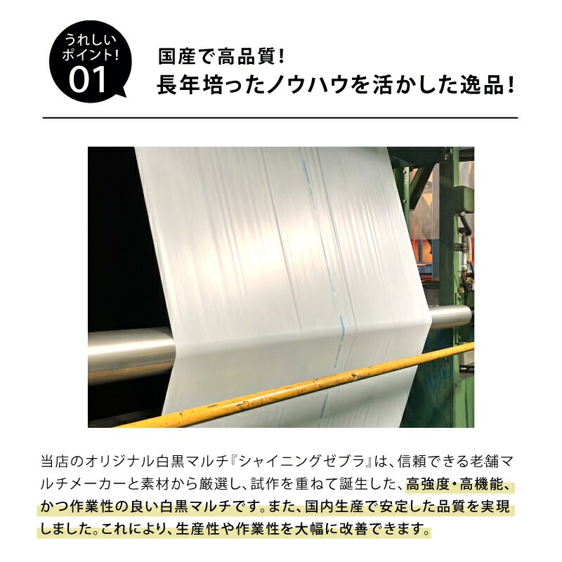 白黒マルチ 幅95cm シャイニングゼブラ 国産 穴なし センターライン入 白黒 マルチ シート 畑 地温 温度 抑制 レタス 白菜 栽培 防草 雑草対策 日A DZ