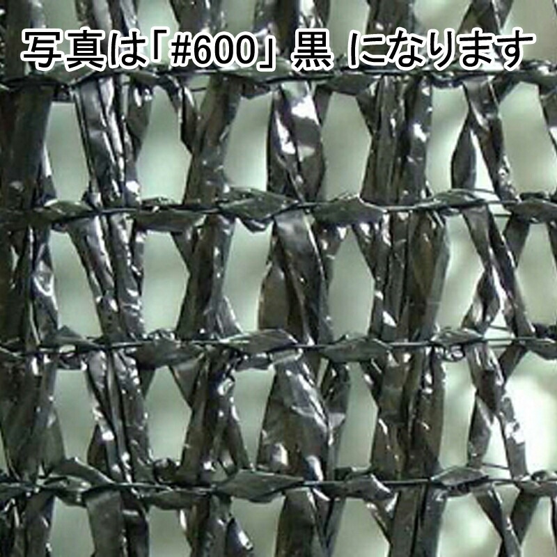 2m×50m シルバー 遮光率55～60％ ワイエムネット 遮光ネット #600 寒冷紗 望月 タS 個人宅配送不可 代引不可
