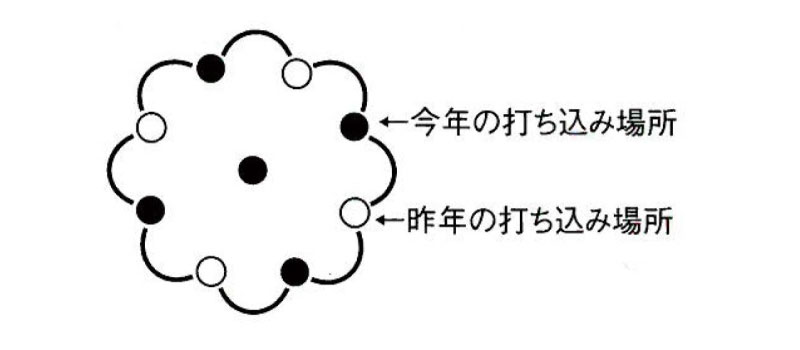 グリーンパイル ラージ 50本入 業務用 打込み肥料 肥料 栄養 養分 活力剤 樹木 庭木 植木 果樹 園芸 ガーデニング 人気 おすすめ ジェイカムアグリ タS DZ