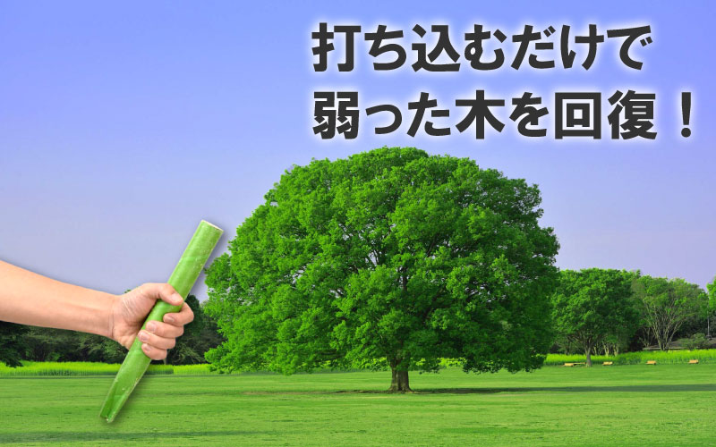 グリーンパイル ラージ 50本入 業務用 打込み肥料 肥料 栄養 養分 活力剤 樹木 庭木 植木 果樹 園芸 ガーデニング 人気 おすすめ ジェイカムアグリ タS DZ