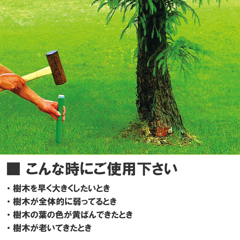 グリーンパイル ラージ 50本入 業務用 打込み肥料 肥料 栄養 養分 活力剤 樹木 庭木 植木 果樹 園芸 ガーデニング 人気 おすすめ ジェイカムアグリ タS DZ