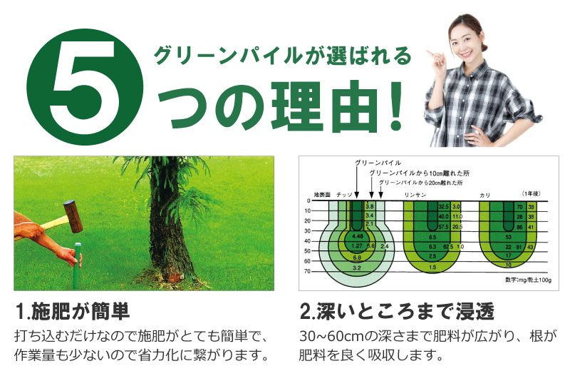 グリーンパイル ラージ 50本入 業務用 打込み肥料 肥料 栄養 養分 活力剤 樹木 庭木 植木 果樹 園芸 ガーデニング 人気 おすすめ ジェイカムアグリ タS DZ